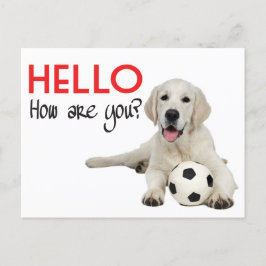 Hola tarjeta postal amarilla Labrador Recuperador