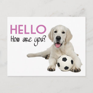 Hola Tarjeta Postal del Retriever Labrador Amarill