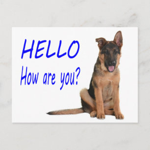 Hola Tarjeta Postal en Blanco de Cachorro de Pasto