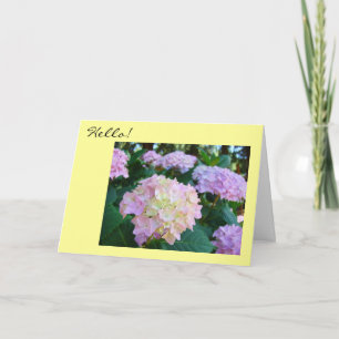 ¡Hola! Tarjetas de felicitación Espero que todo es