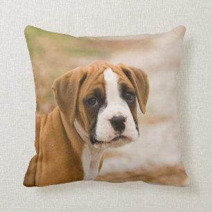 ¿Hola, What'z encima de Dawg? Almohada del perro