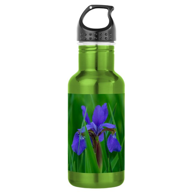 Holandés azul entre hojas botellas de agua de acer (Anverso)