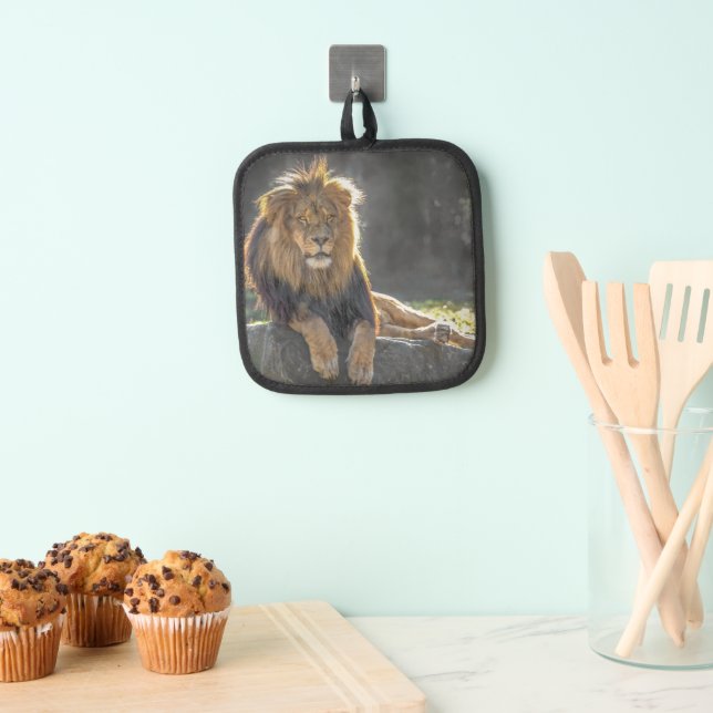 Holder de Pot King Lion (Insitu (colgante))