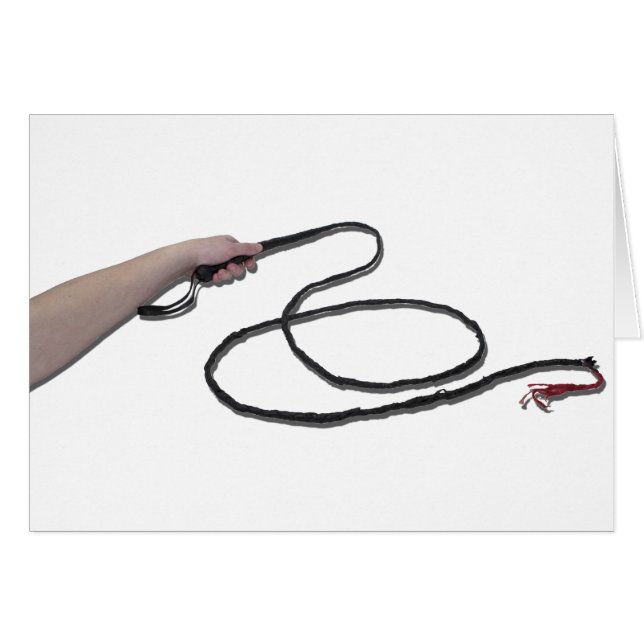 HoldingWhip103110 (Anverso (Horizontal))