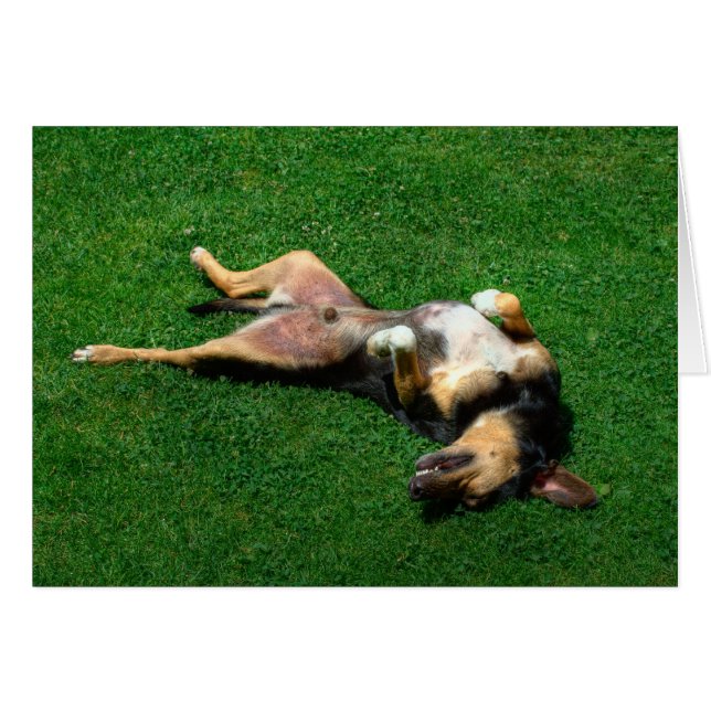 holgado (Anverso (Horizontal))