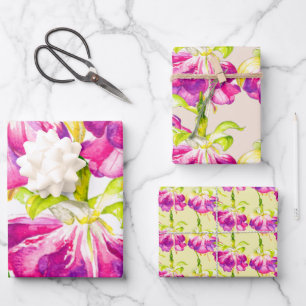 Holi en un conjunto de papel de ajuste