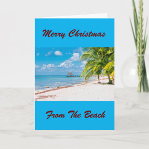 HOLIDAY WISHIES FROM ***LA TARJETA DE PLAYA***