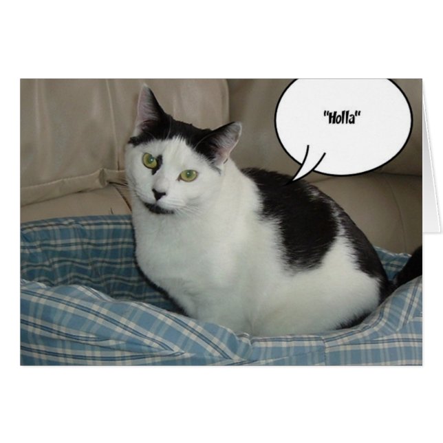 Holla (Anverso (Horizontal))