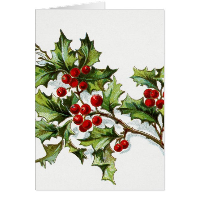 Holly Berries 002 (Frente)