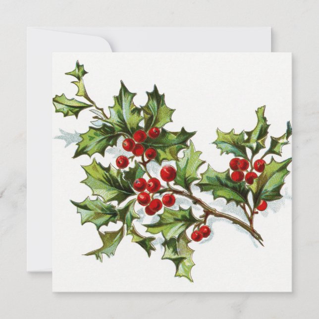 Holly Berries 002 (Anverso)