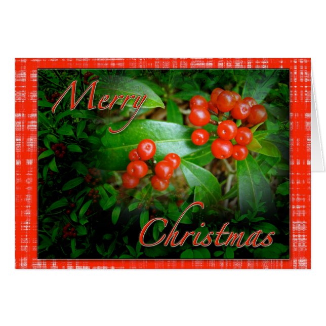 Holly Berries navidad saludos (Anverso (Horizontal))