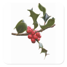 Holly Berries Pegatina