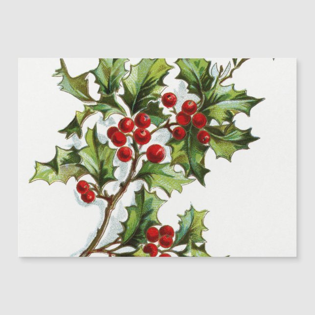HollyBerries20150802 (Anverso)