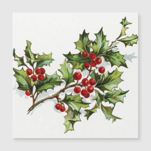 HollyBerries 001 (Anverso)