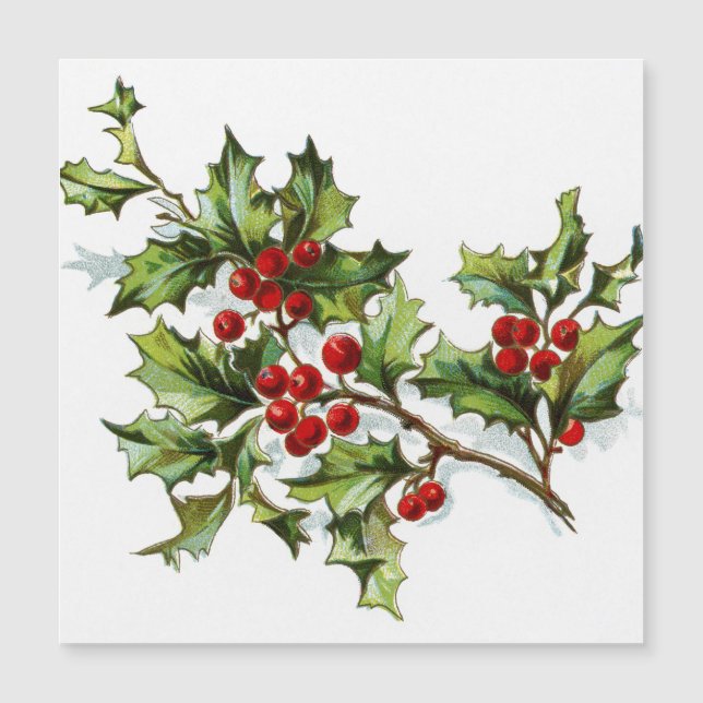 HollyBerries 002 (Anverso)