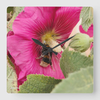 Hollyhock burbuja abeja Cuadrado reloj de pared