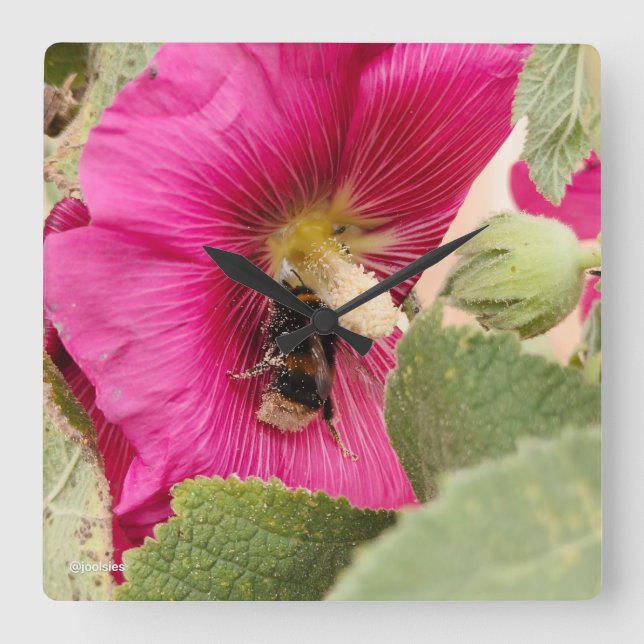 Hollyhock burbuja abeja Cuadrado reloj de pared (Anverso)