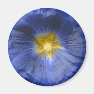 Hollyhock Flor Hermoso imán azul