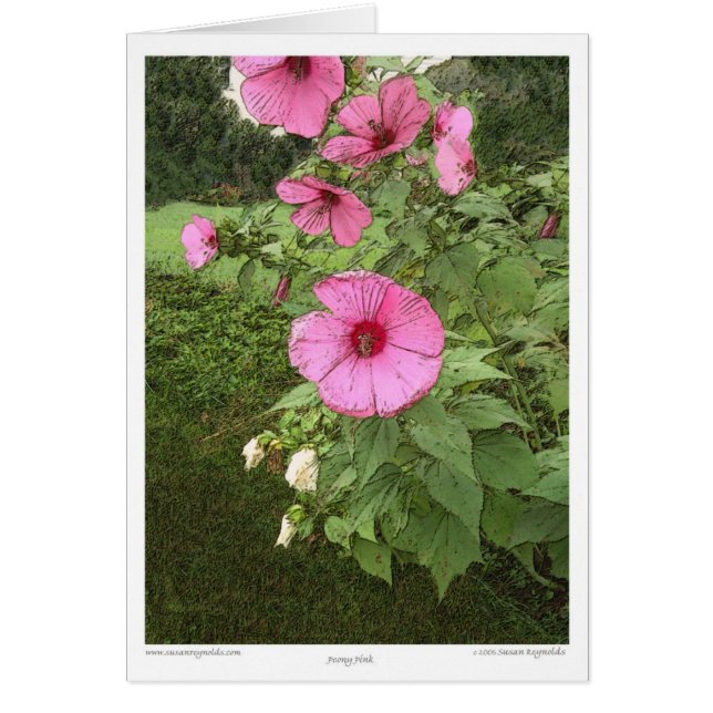 Hollyhocks (Frente)