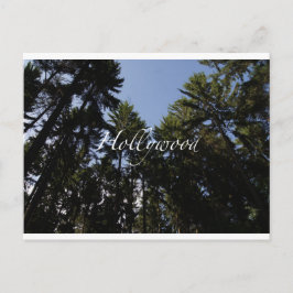 Hollywood - Tarjeta de felicitación