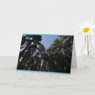 Hollywood - Tarjeta de felicitación - Karte