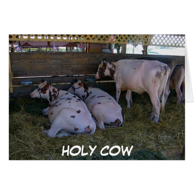 HOLY COW ACABAS DE CUMPLIR 50 AÑOS (Anverso (Horizontal))