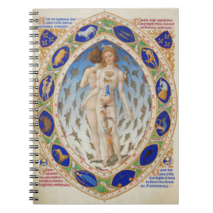 Hombre anatómico - Cuaderno