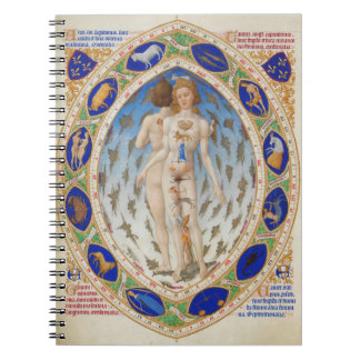 Hombre anatómico - Cuaderno