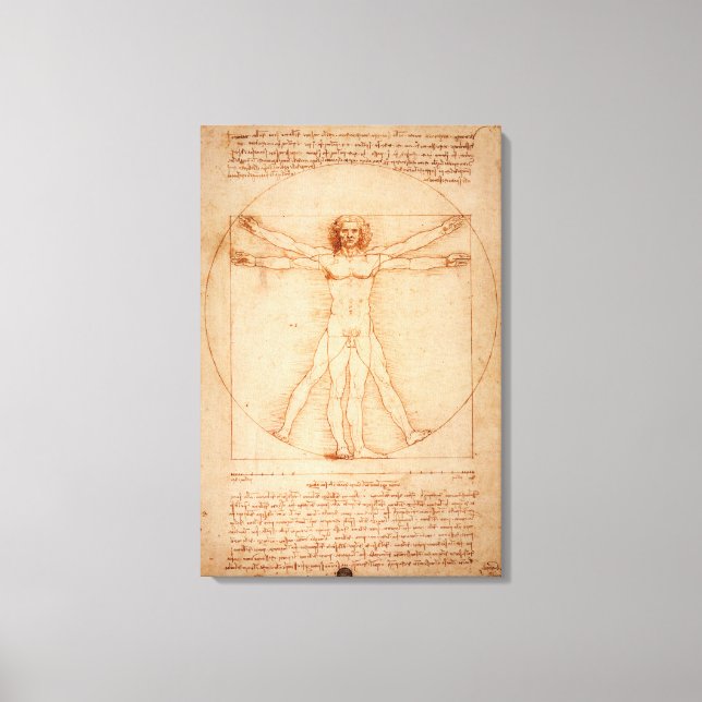 Hombre de Vitruvio en lienzo por Leonardo da Vinci (Anverso)