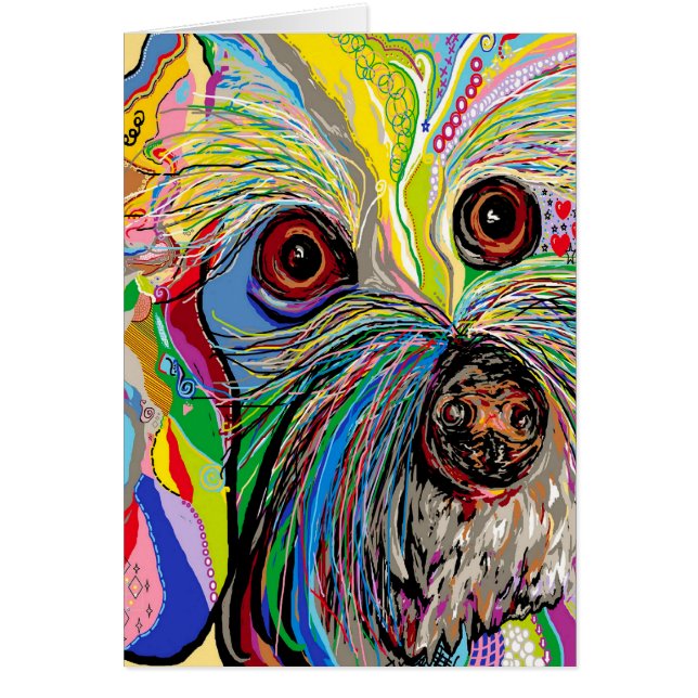 Hombre del zapato de Bichon… (Frente)