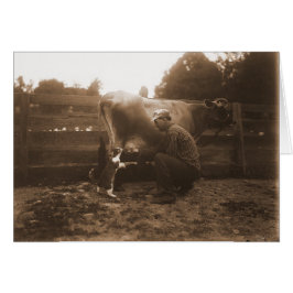 Hombre ordeñando vaca en el patio y alimentando ga