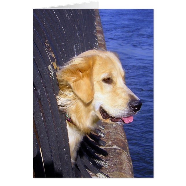 HOMBRE... ¡QUISIERA SABER CÓMO NADAR! (Frente)