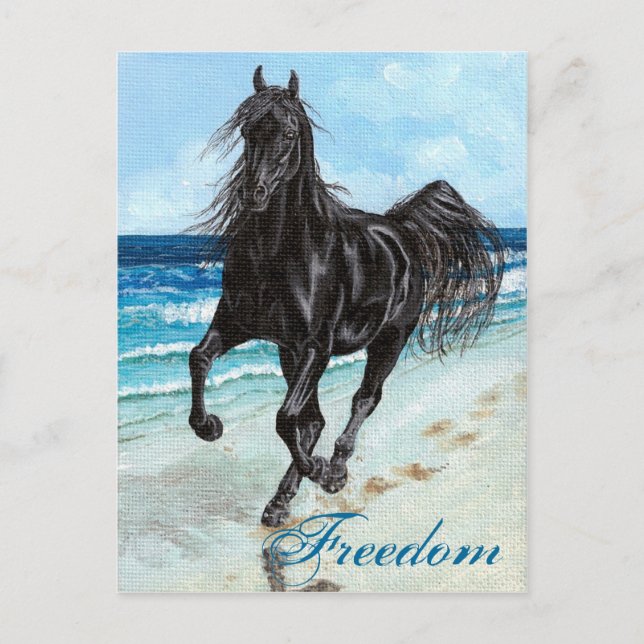 Hombres árabes de espalda Stallion Postal de la li (Anverso)