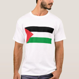 Hombres en camiseta con bandera de Palestina