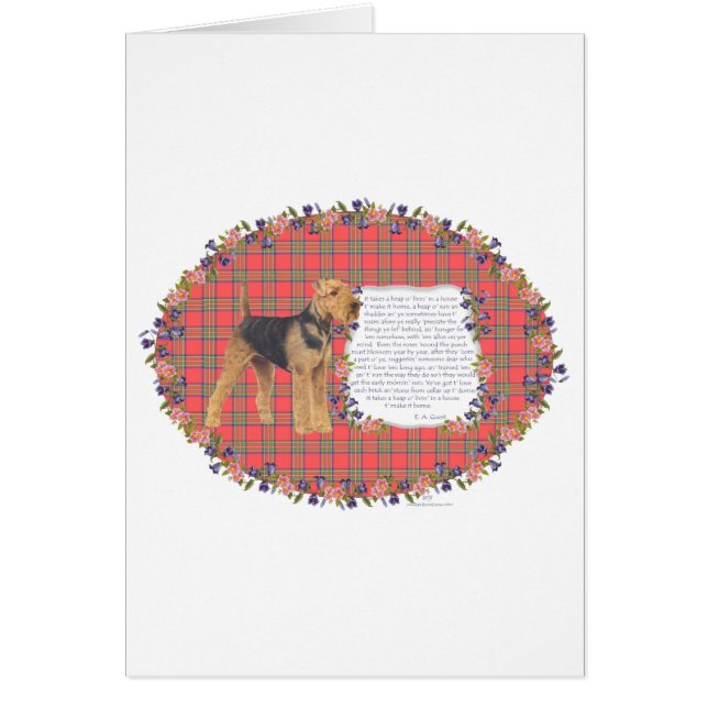 Home Airedale - Welsh - Lakeland (Frente)