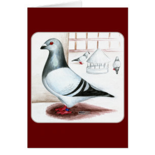 Home run gigante 1973