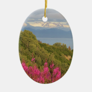 Home run, ornamento de Alaska