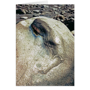 Homenaje a las mujeres andinas/a la tarjeta