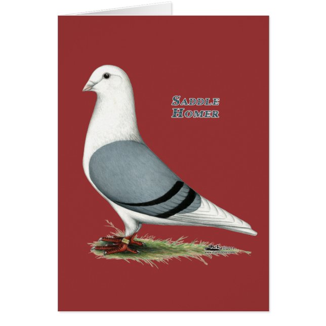 Homer Blue Saddle (Frente)