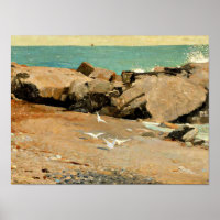 Homer - Costa y gaviotas rocosas, arte fino