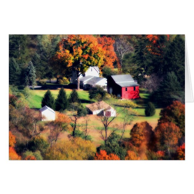 Homestead (Anverso (Horizontal))