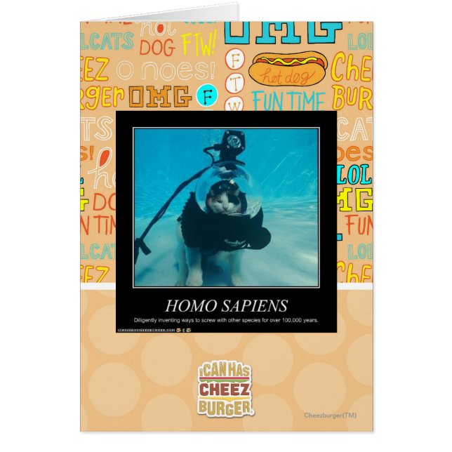 Homo sapiens (Frente)