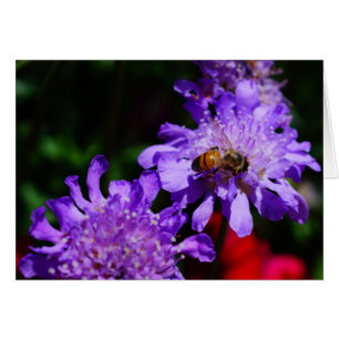¡Honey Bee'n Made!