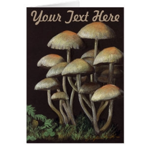 Hongos
