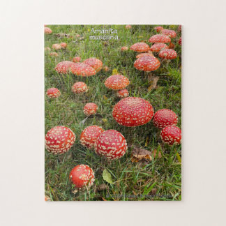 Hongos Amanita muscaria - Rompecabezas
