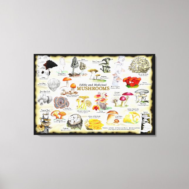 Hongos (comestibles y medicinales) Grandes lienzos (Anverso)