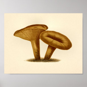 Hongos de época 1861 Impresión Art Cap Amarillo