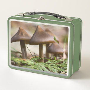 Hongos en el bosque