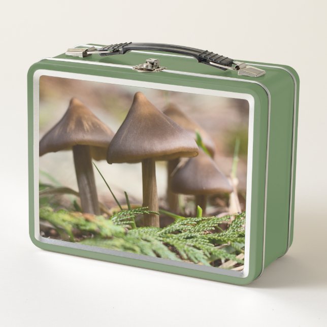 Hongos en el bosque (Anverso)