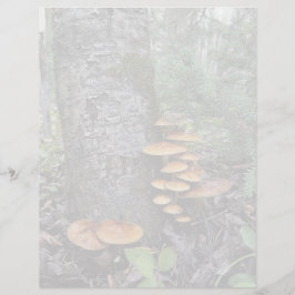 Hongos - Hoja de estacionamiento de 8,5" x 11"